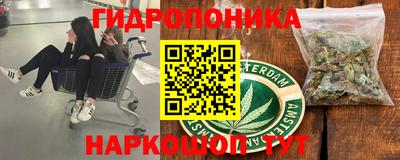 a pvp Рыбинск