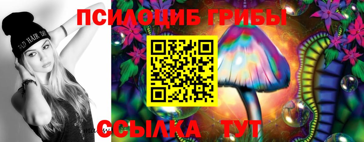 Псилоцибиновые грибы Cubensis  Вход с VPN  Галлюциногенные грибы мицелий  Скопин 